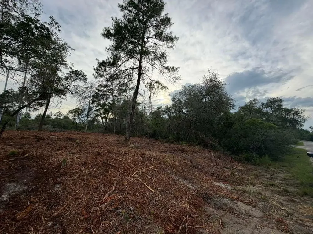 Sequoia Trail Ocklawaha FL 32179