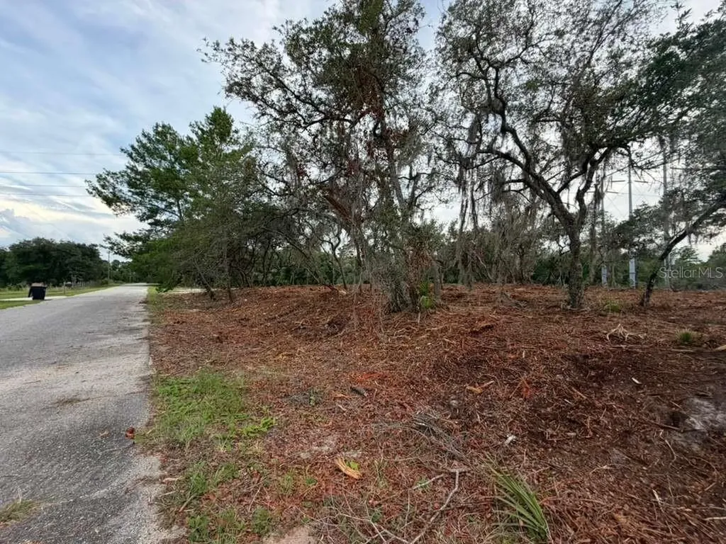 Sequoia Trail Ocklawaha FL 32179