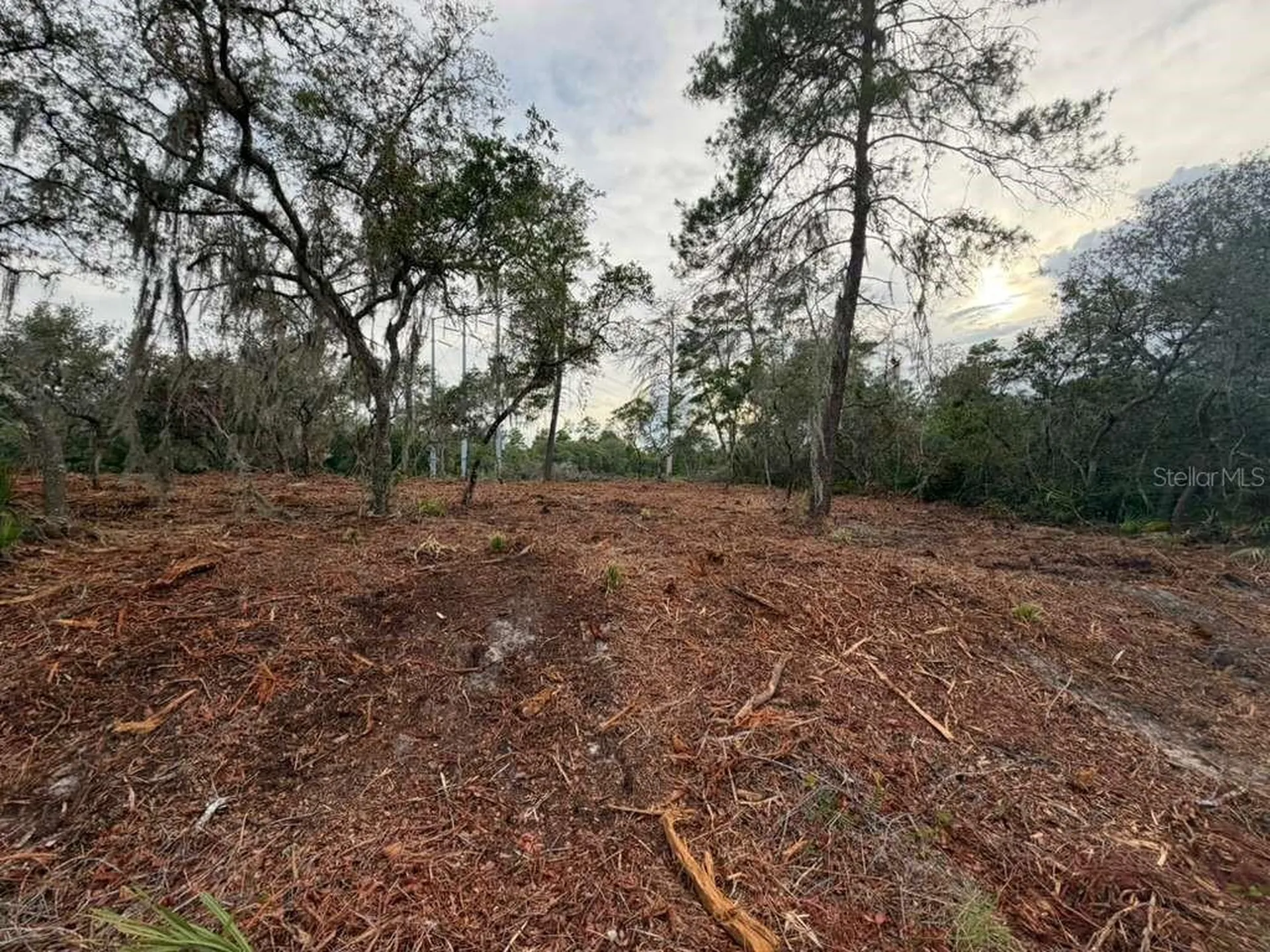 Sequoia Trail Ocklawaha FL 32179