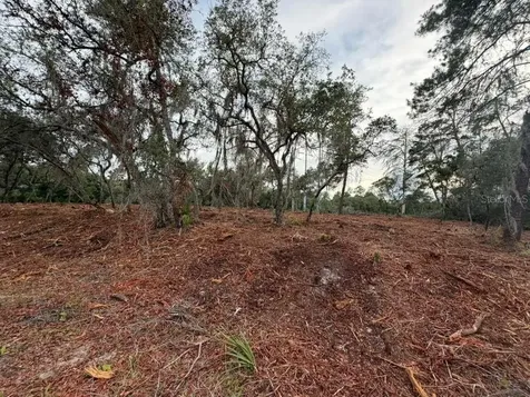 Sequoia Trail Ocklawaha FL 32179