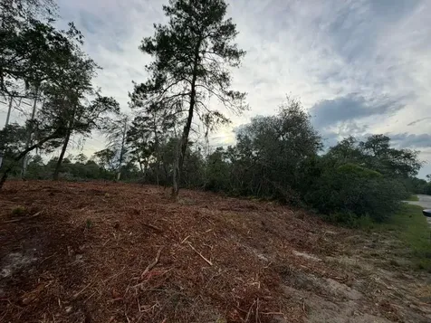 Sequoia Trail Ocklawaha FL 32179