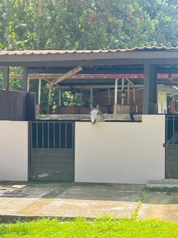 Cofresi Mameyes Luquillo PR 00773