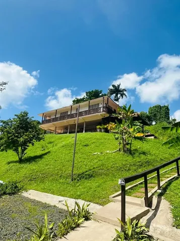 Cofresi Mameyes Luquillo PR 00773