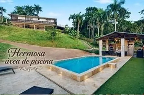 Cofresi Mameyes Luquillo PR 00773