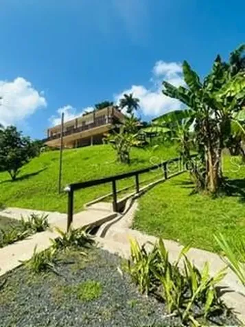 Cofresi Mameyes Luquillo PR 00773