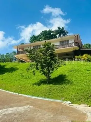 Cofresi Mameyes Luquillo PR 00773