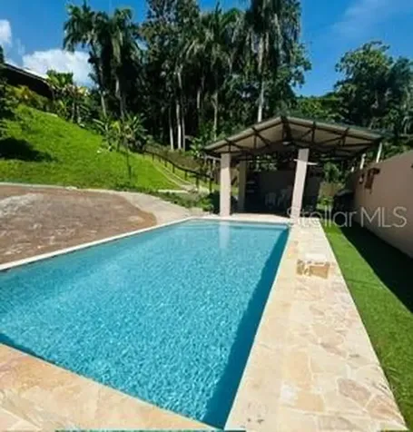 Cofresi Mameyes Luquillo PR 00773