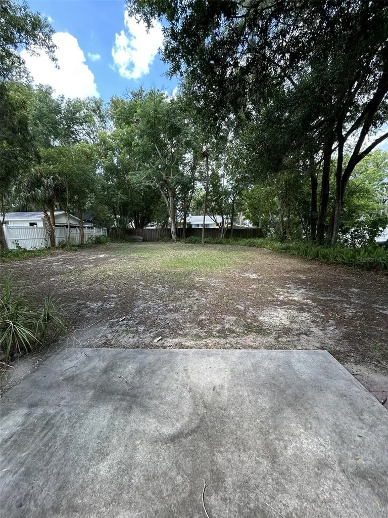 119 W 10th Avenue Mount Dora FL 32757