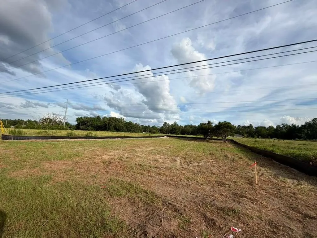 SE 113th Street Road Ocklawaha FL 32179