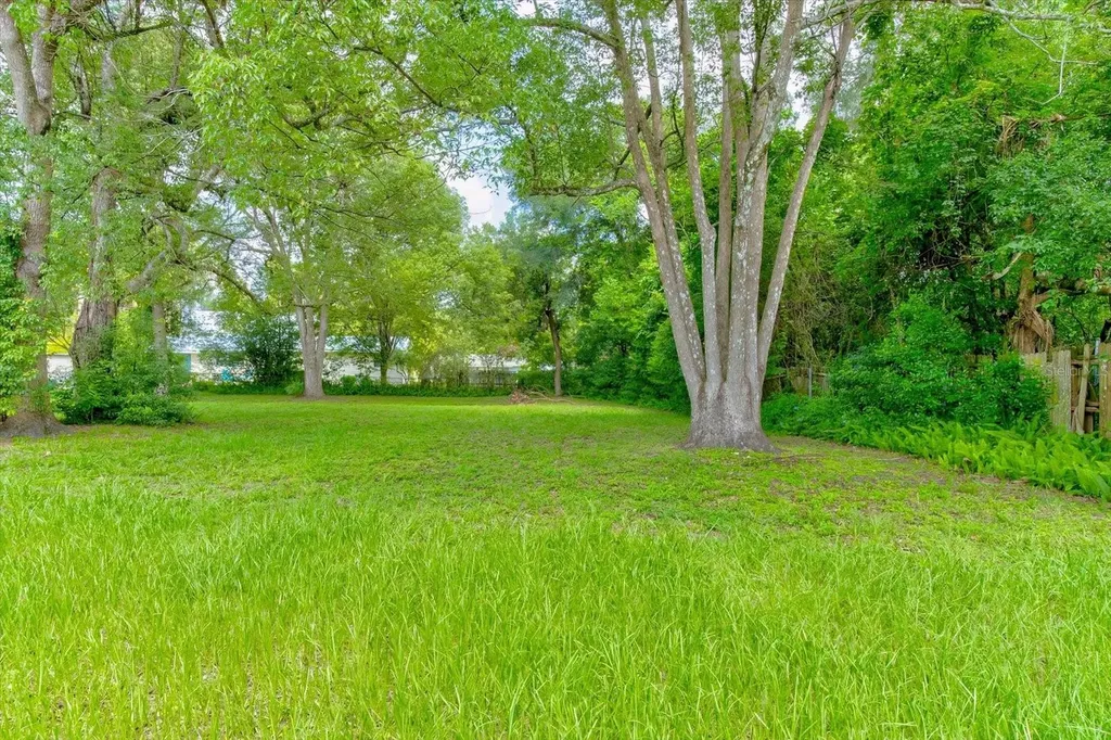 543 N Thorpe Avenue Orange City FL 32763