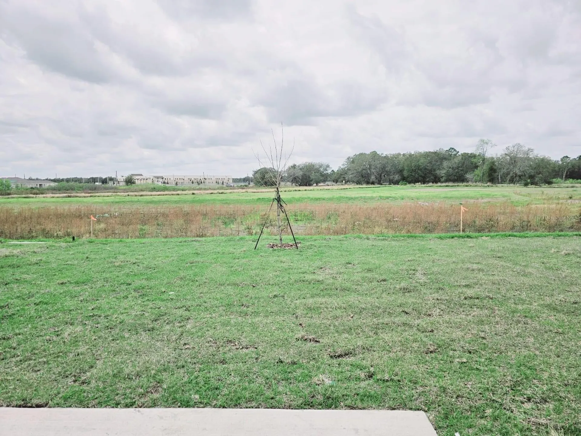 1454 Austin Street Winter Haven FL 33884
