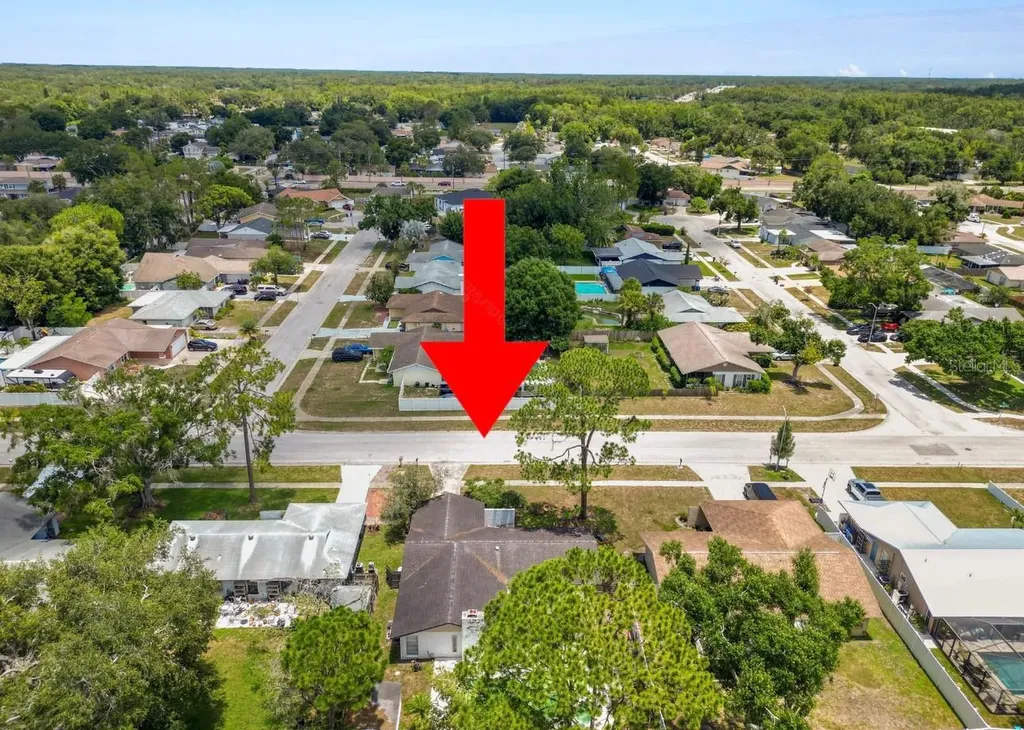 5028 Headland Hills Avenue Tampa FL 33625
