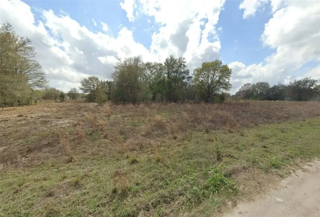 Tbd SW 112 Place Dunnellon FL 34432