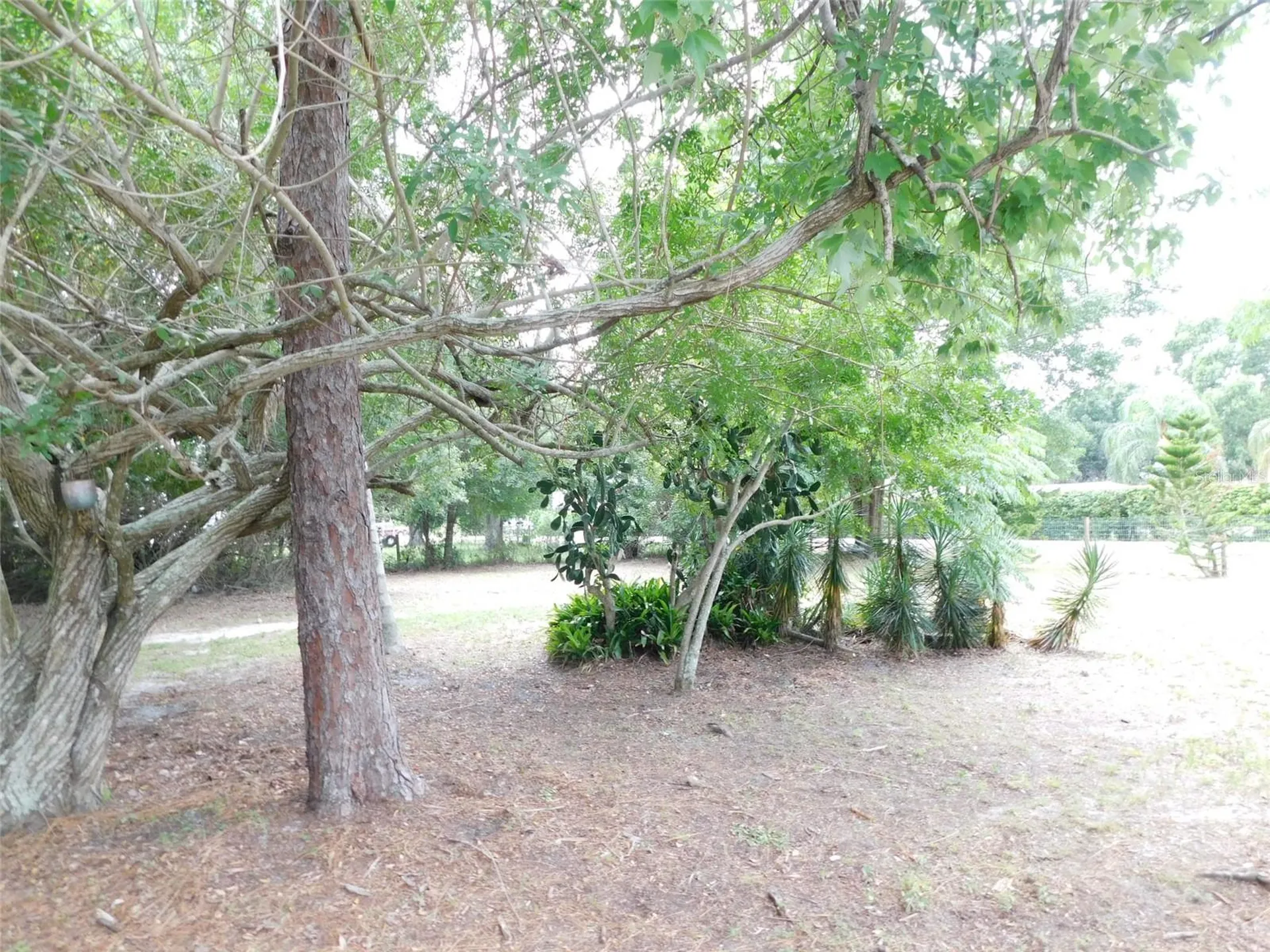 1110 NE Forrest Avenue Arcadia FL 34266