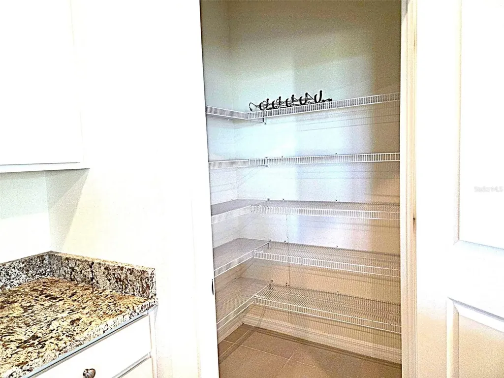 3908 Mossy Limb Court Palmetto FL 34221