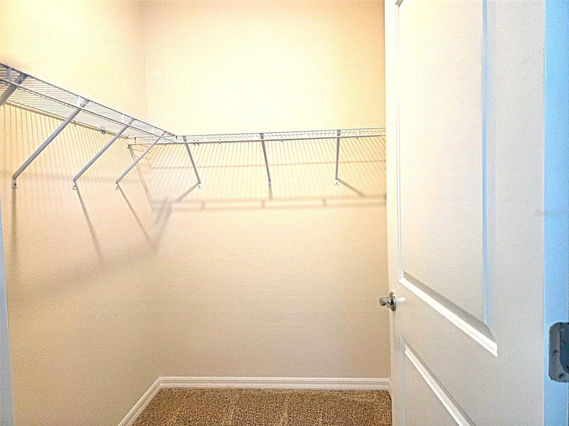 3908 Mossy Limb Court Palmetto FL 34221