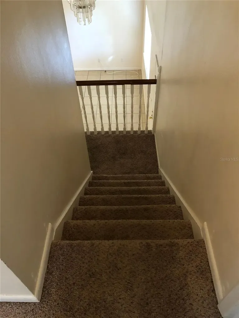 5205 Dublin Place Tampa FL 33624