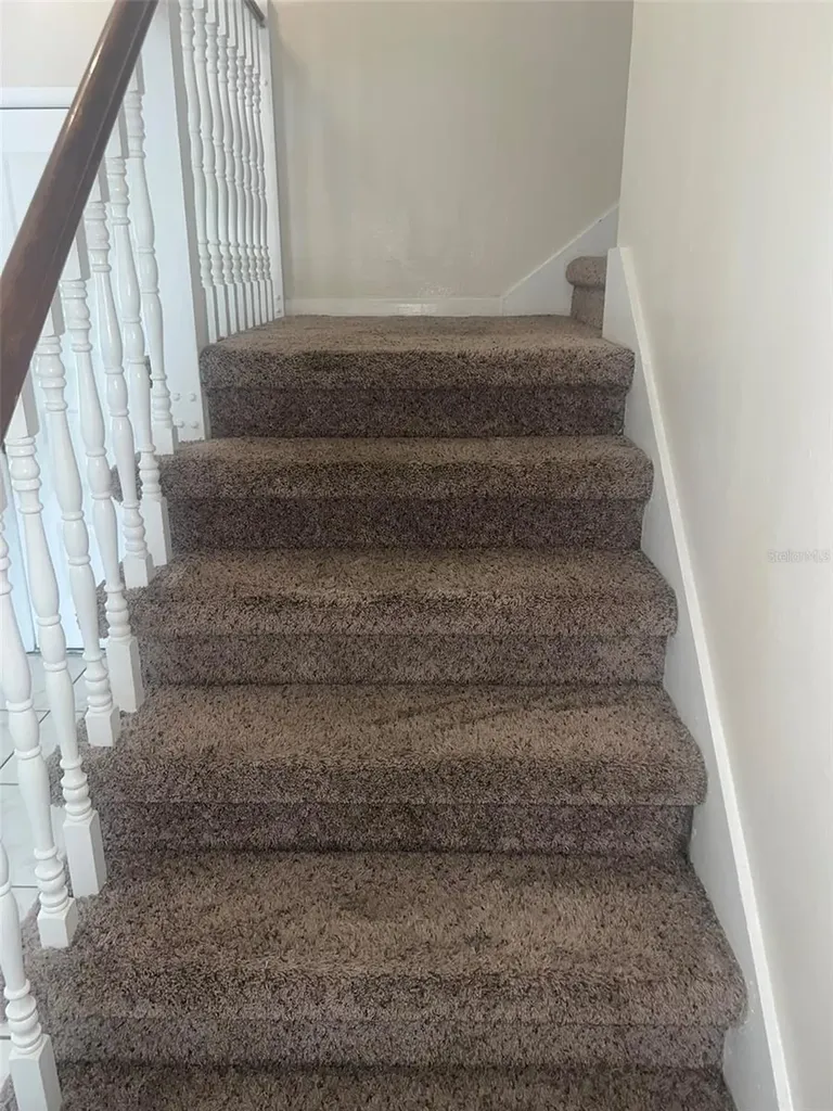 5205 Dublin Place Tampa FL 33624