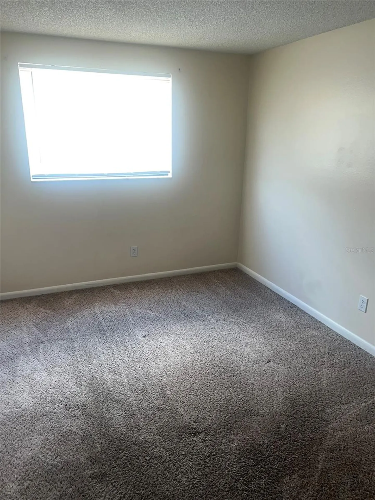 5205 Dublin Place Tampa FL 33624