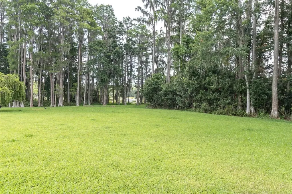 7832 Blue Spring Drive Land O Lakes FL 34637