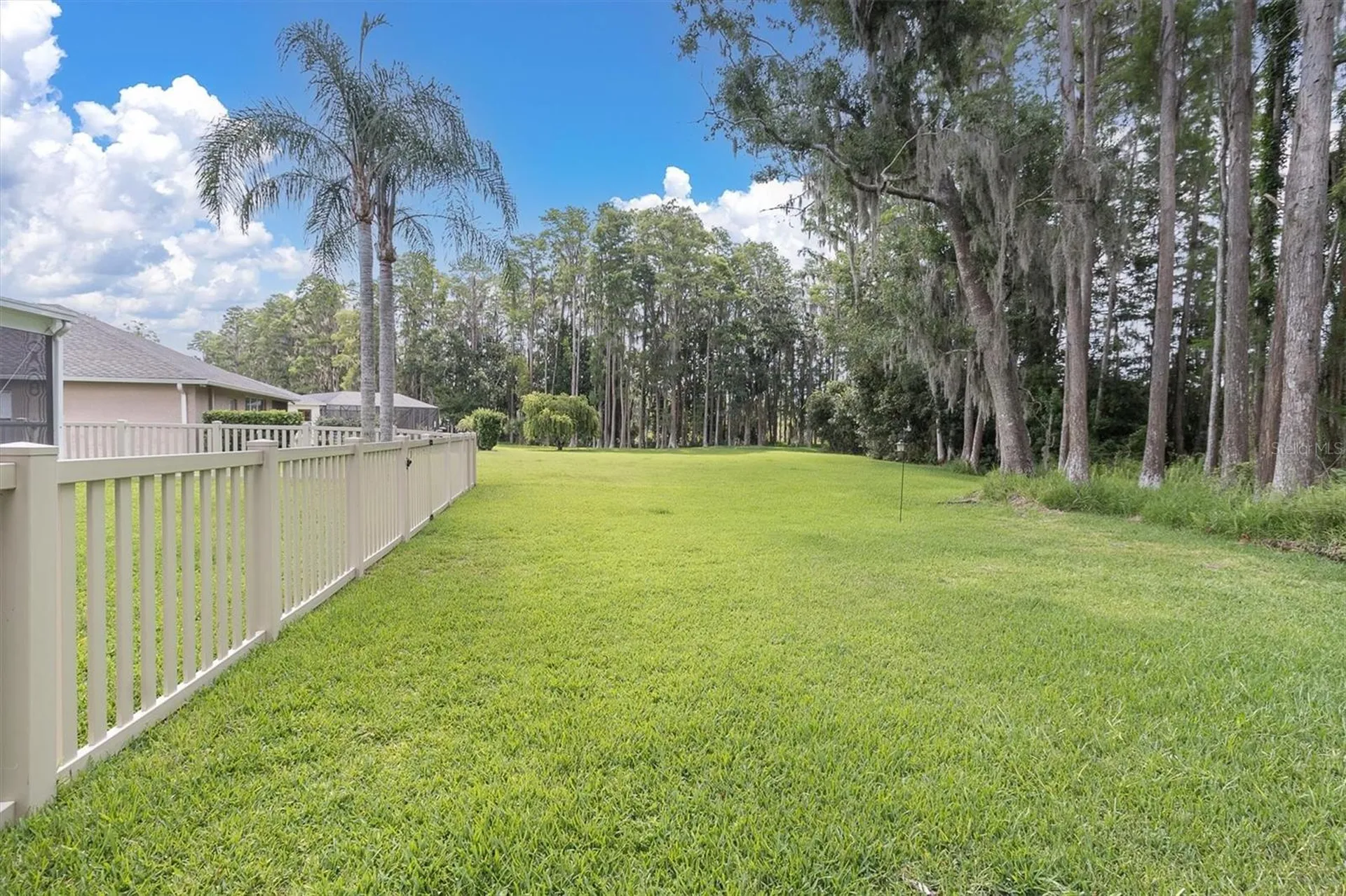 7832 Blue Spring Drive Land O Lakes FL 34637