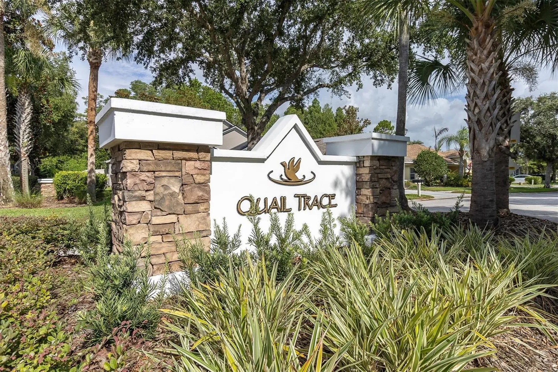 7832 Blue Spring Drive Land O Lakes FL 34637