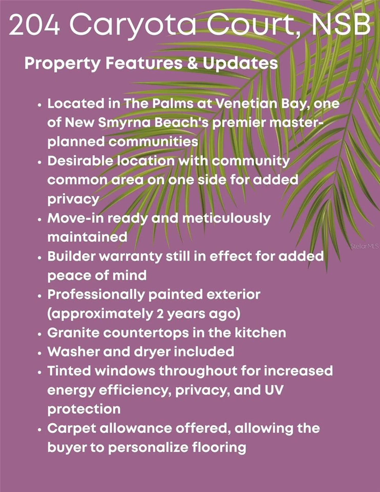 204 Caryota Court New Smyrna Beach FL 32168