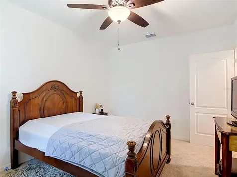 204 Caryota Court New Smyrna Beach FL 32168