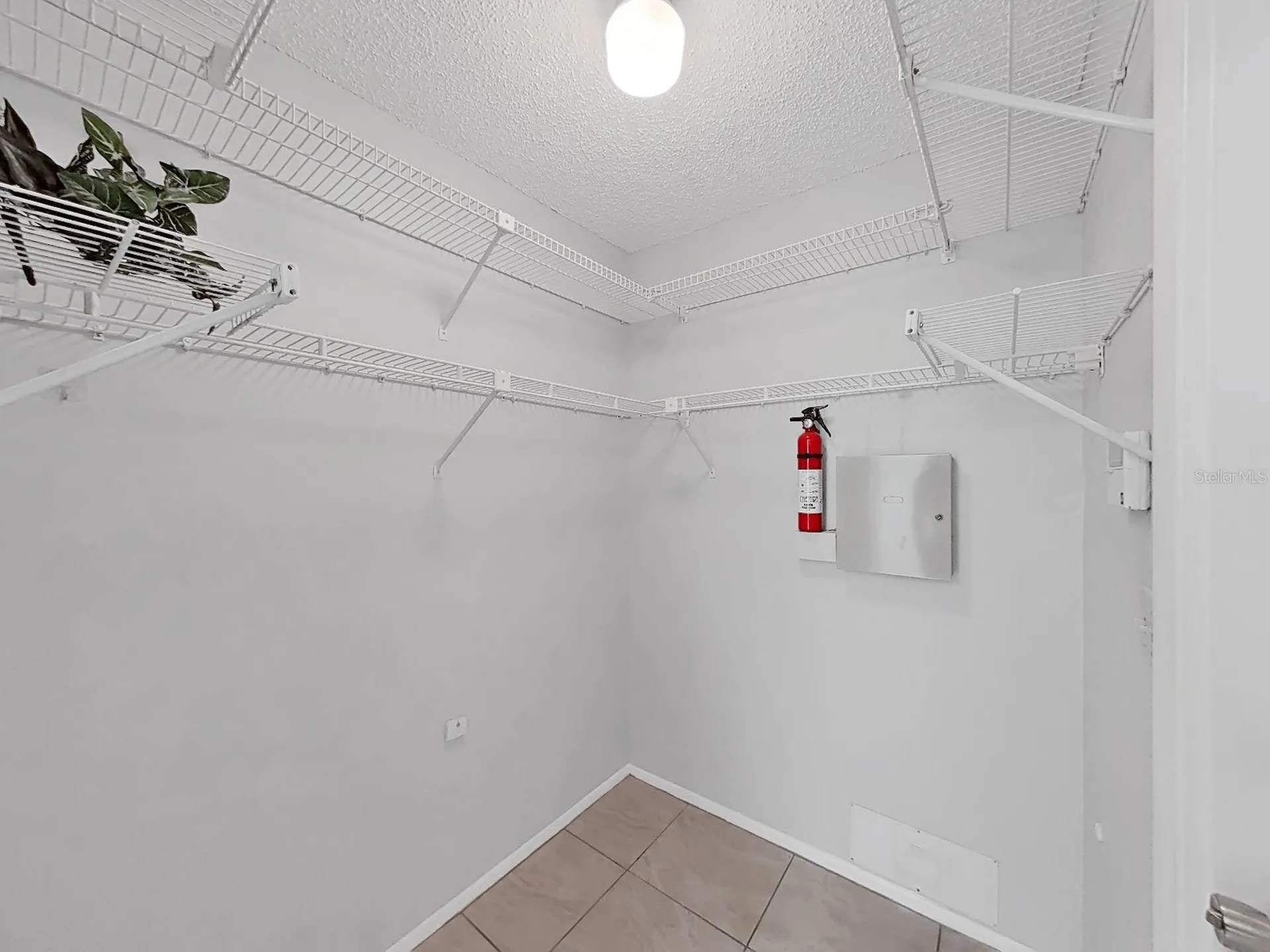 878 Rustic Oaks Drive Palm Harbor FL 34684