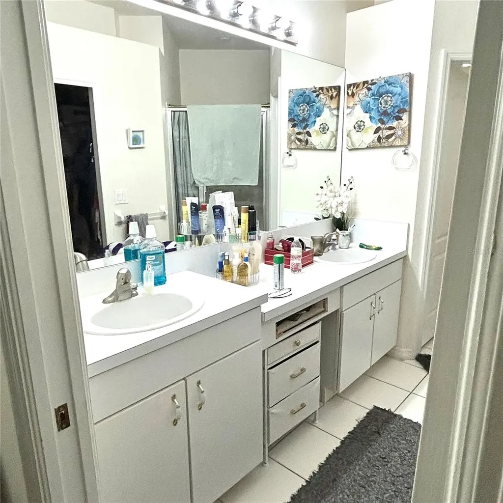 30236 Lettingwell Circle Wesley Chapel FL 33543