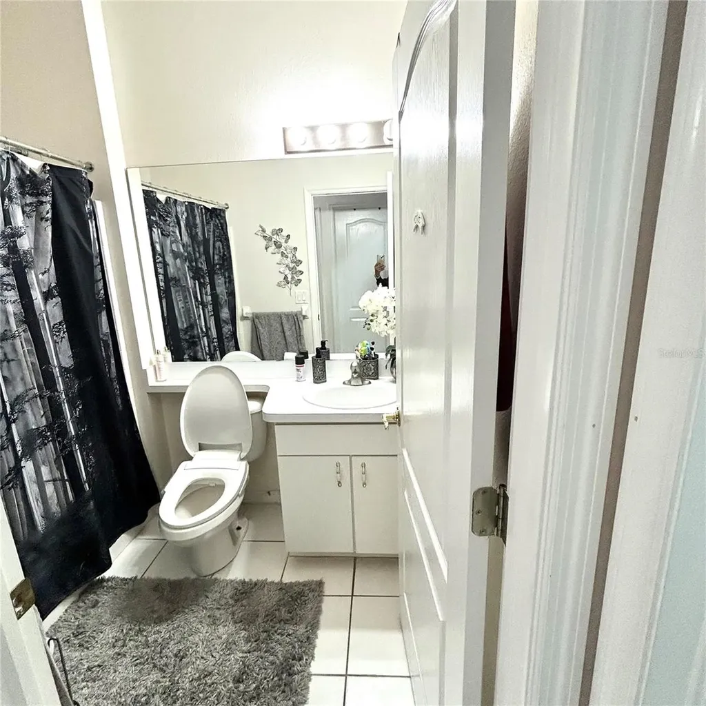 30236 Lettingwell Circle Wesley Chapel FL 33543