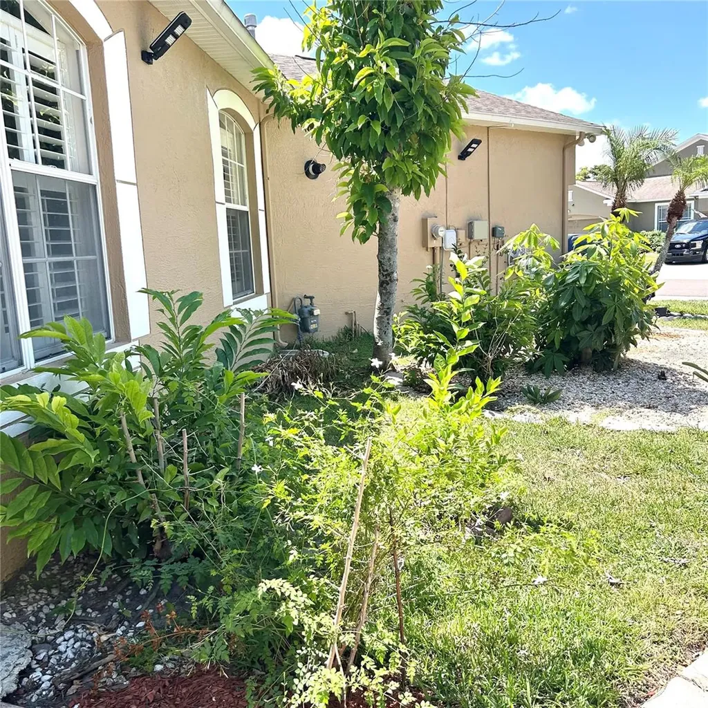 30236 Lettingwell Circle Wesley Chapel FL 33543