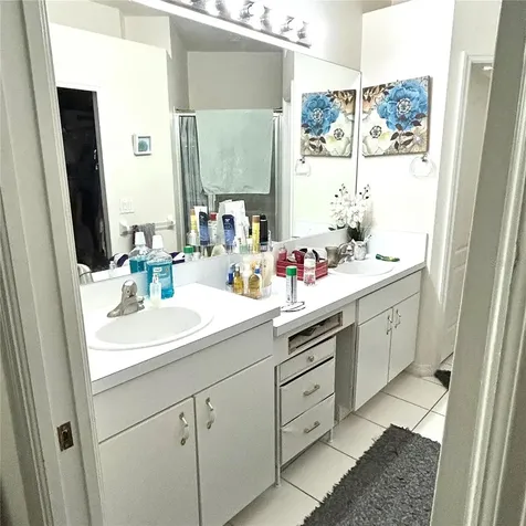 30236 Lettingwell Circle Wesley Chapel FL 33543