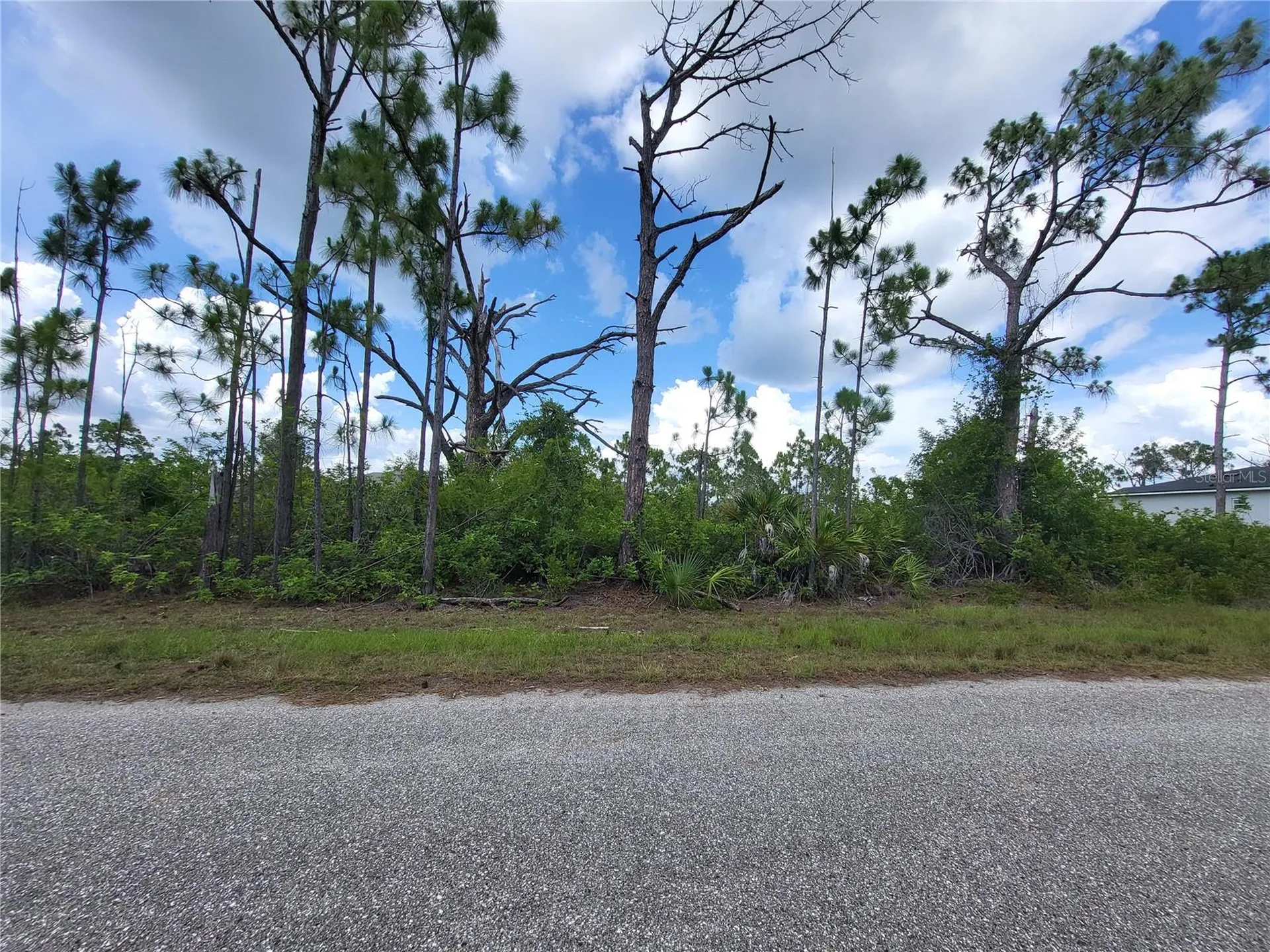 14114 Clarissa Lane Port Charlotte FL 33981