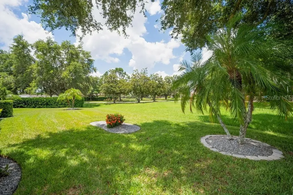 1253 Eveningside Court Trinity FL 34655