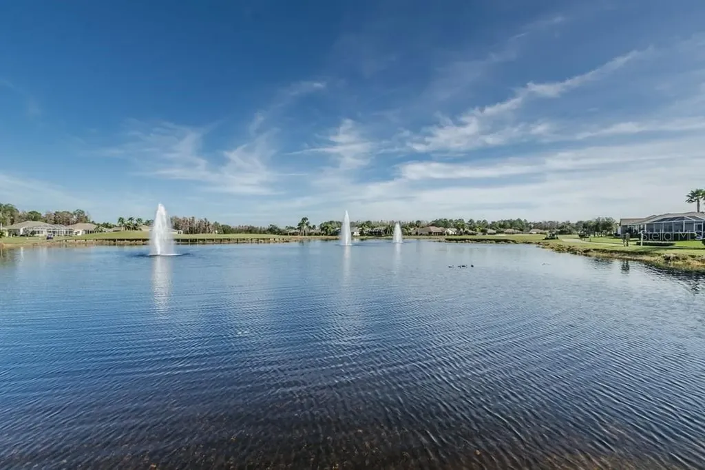 1253 Eveningside Court Trinity FL 34655