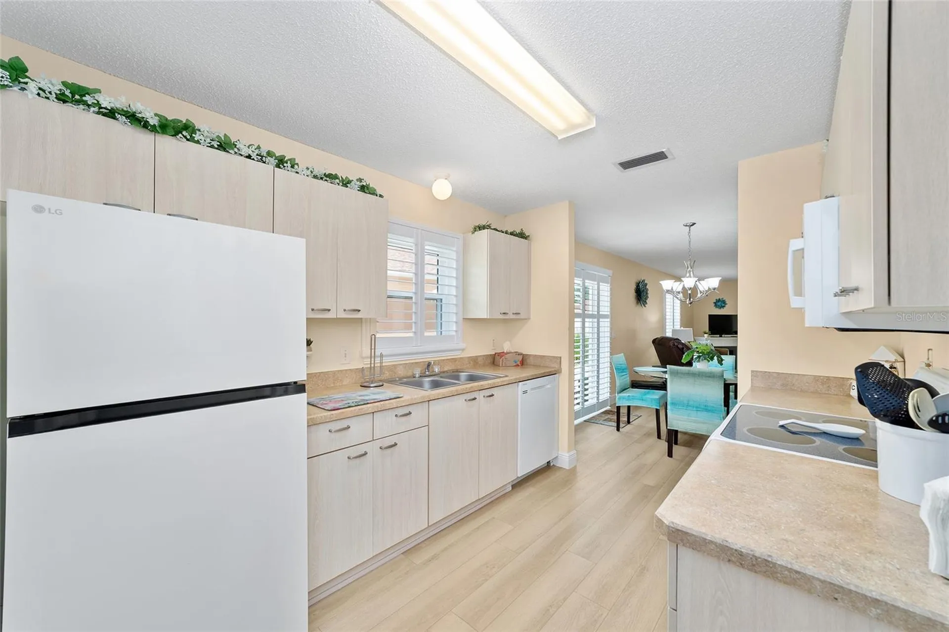 911 Medira Drive Lady Lake FL 32159
