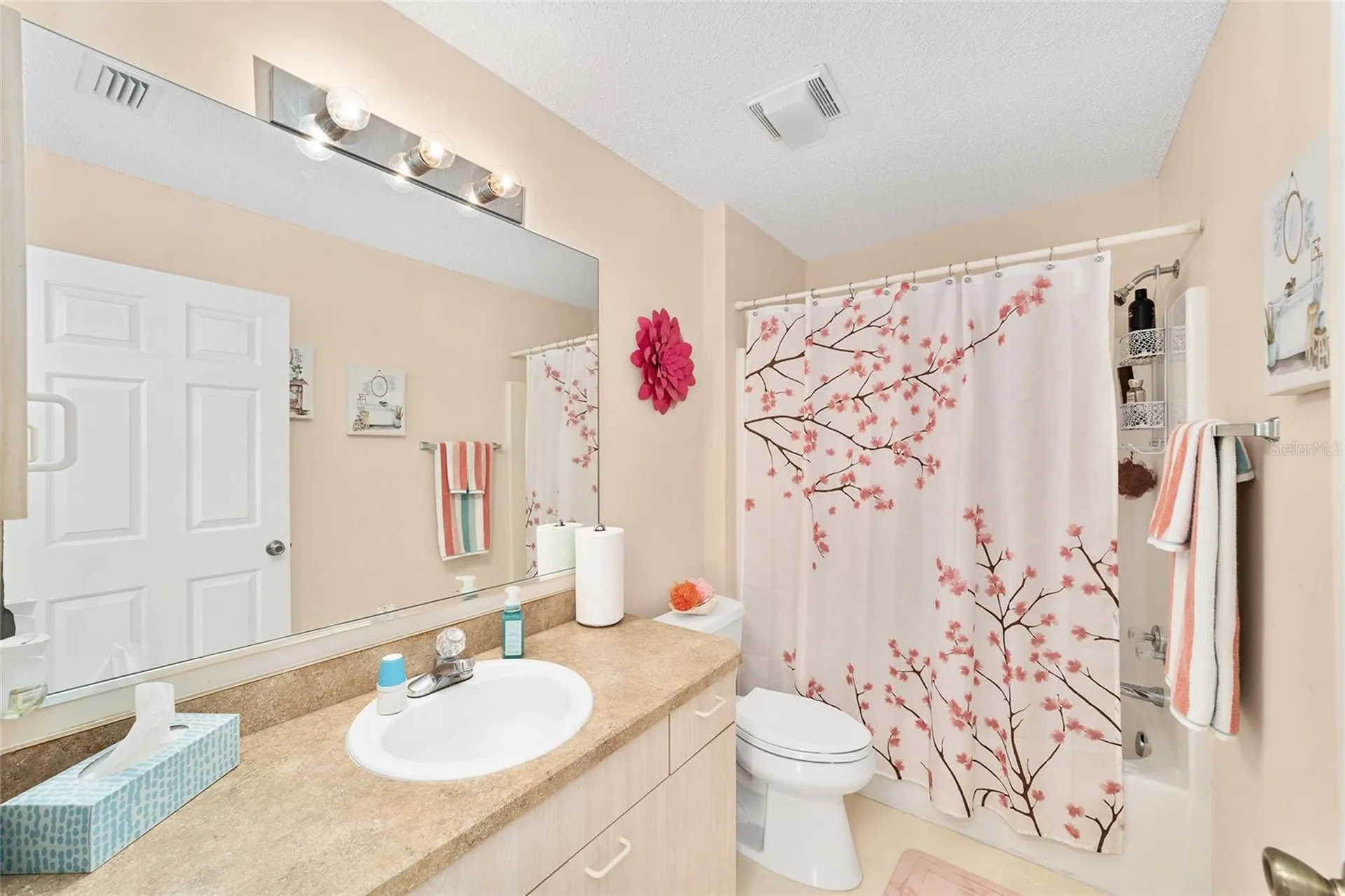 911 Medira Drive Lady Lake FL 32159