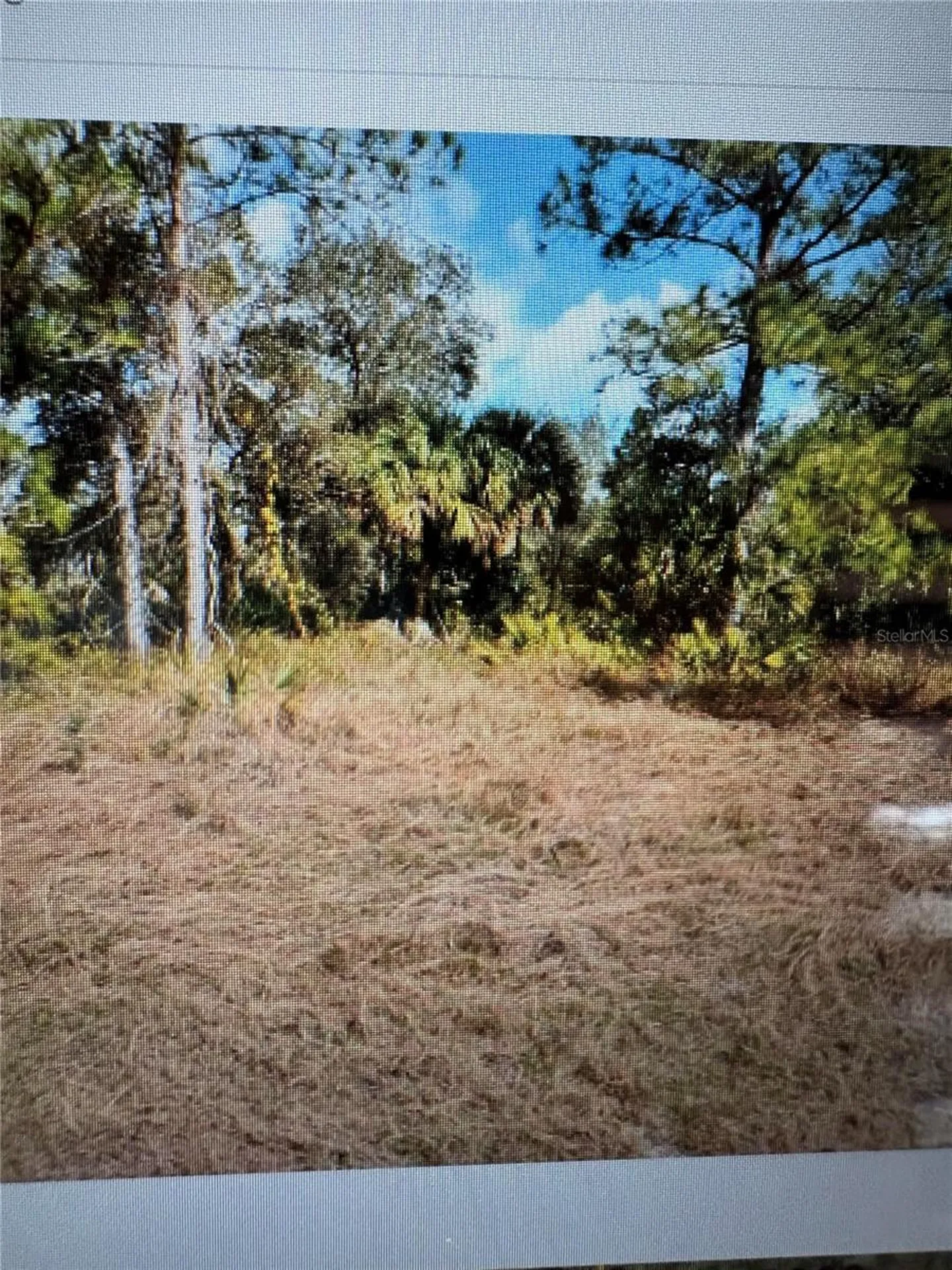 Mattox Circle North Port FL 34288