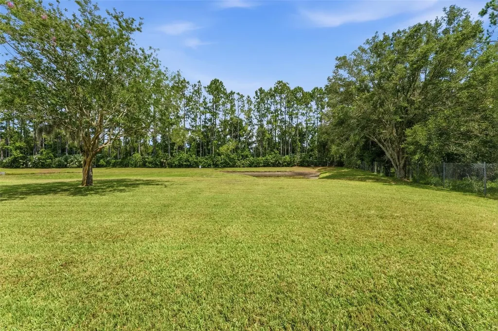 5154 Pheasant Woods Drive Lutz FL 33558