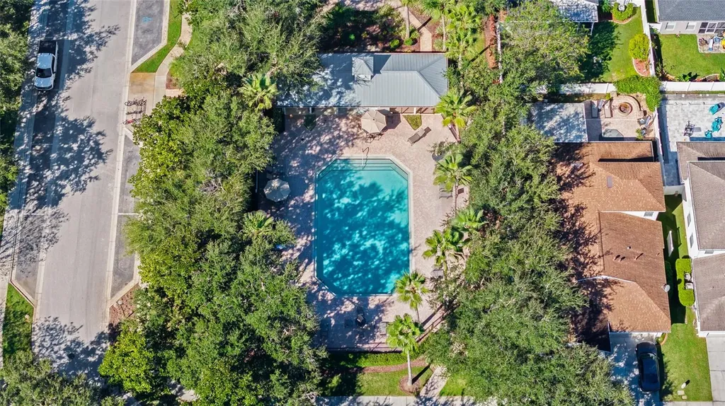 5154 Pheasant Woods Drive Lutz FL 33558