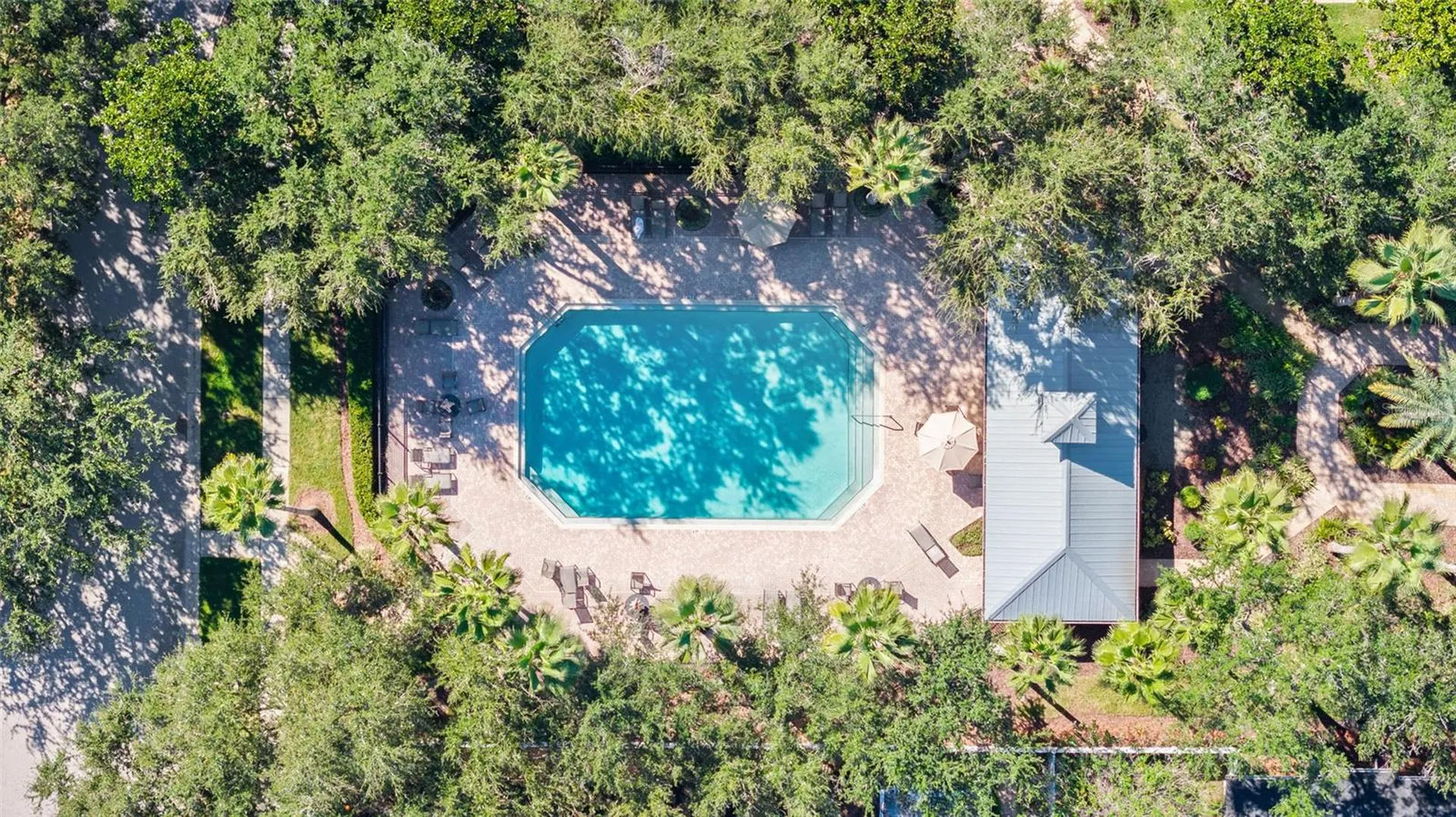 5154 Pheasant Woods Drive Lutz FL 33558
