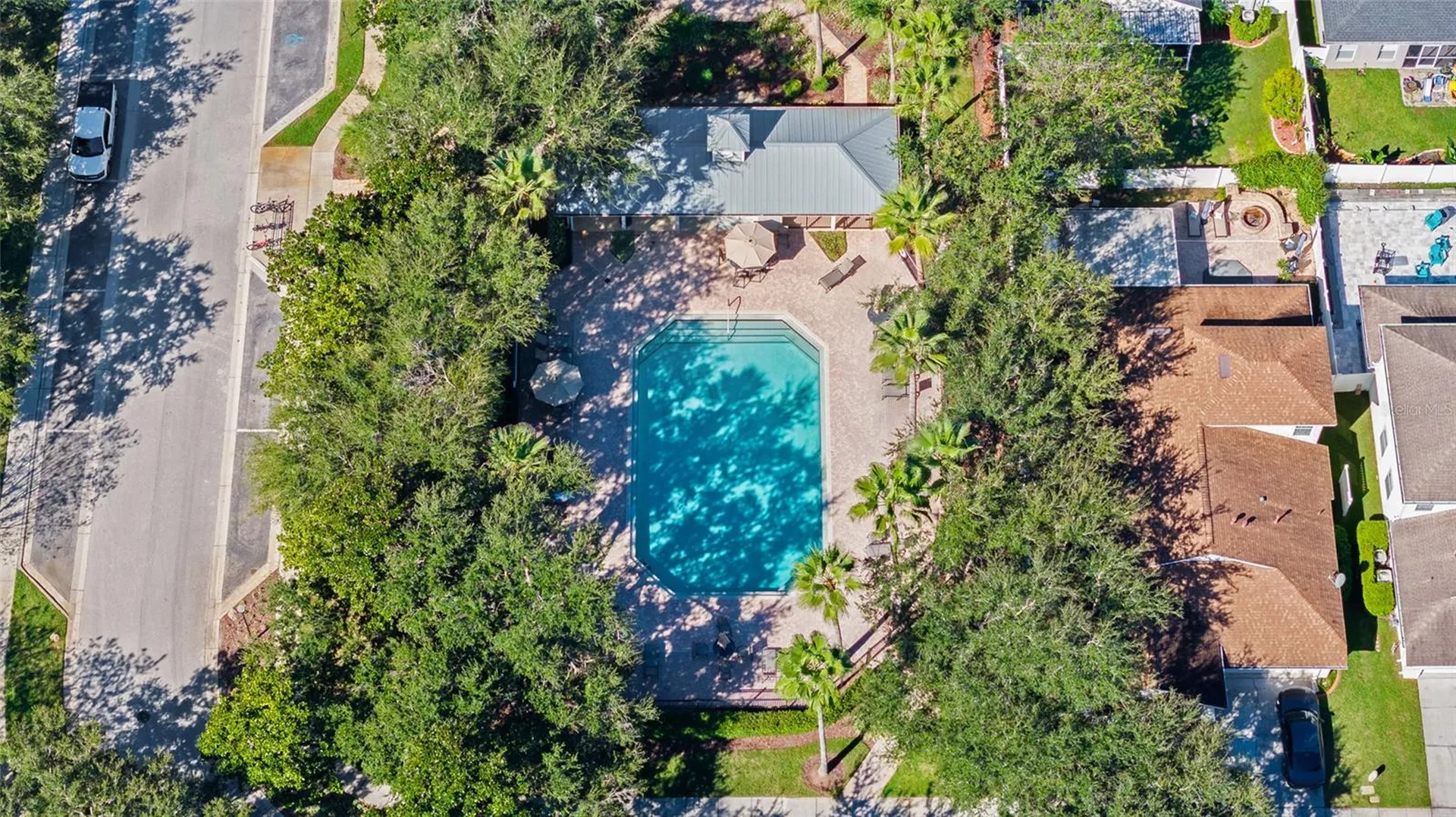 5154 Pheasant Woods Drive Lutz FL 33558