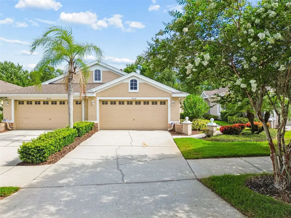 9828 Bridgeton Drive Tampa FL 33626