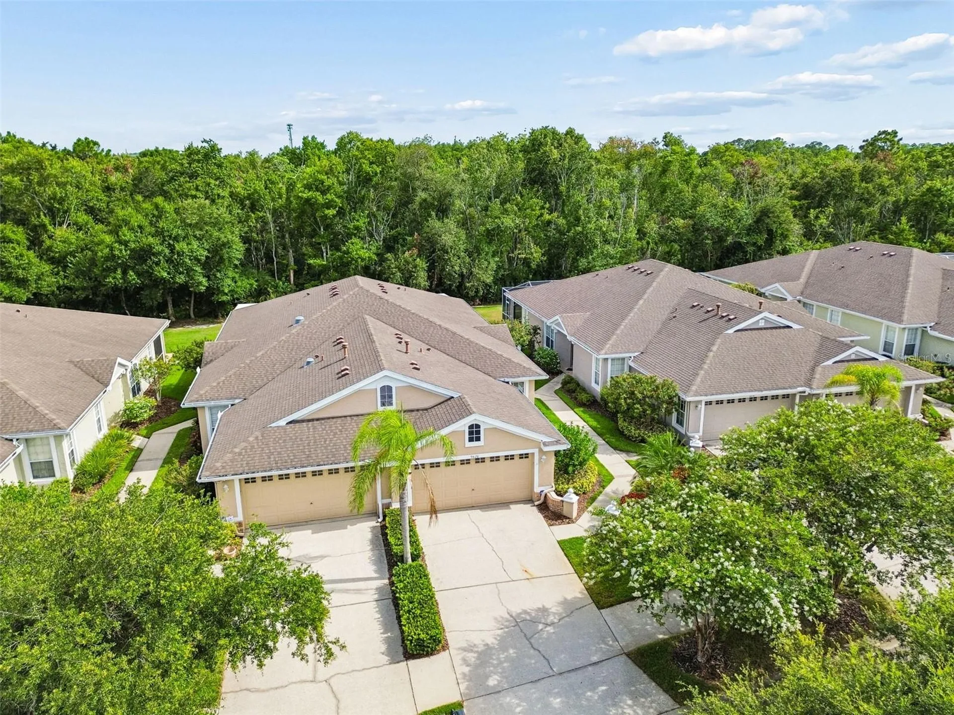 9828 Bridgeton Drive Tampa FL 33626