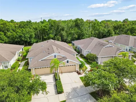 9828 Bridgeton Drive Tampa FL 33626