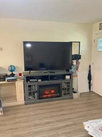 1713 Mapleleaf Boulevard Oldsmar FL 34677