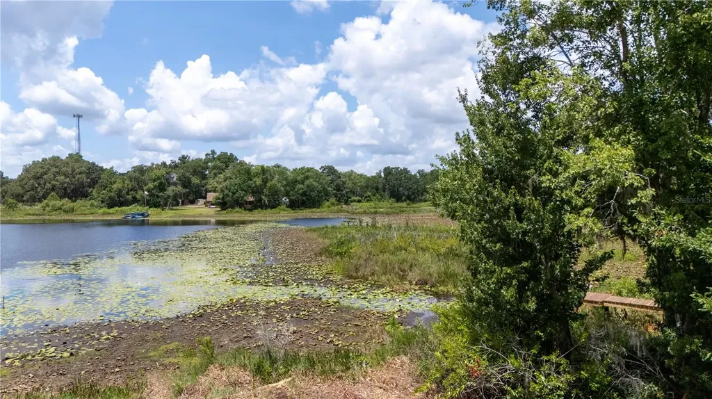 0 State Road 52 Land O Lakes FL 34638