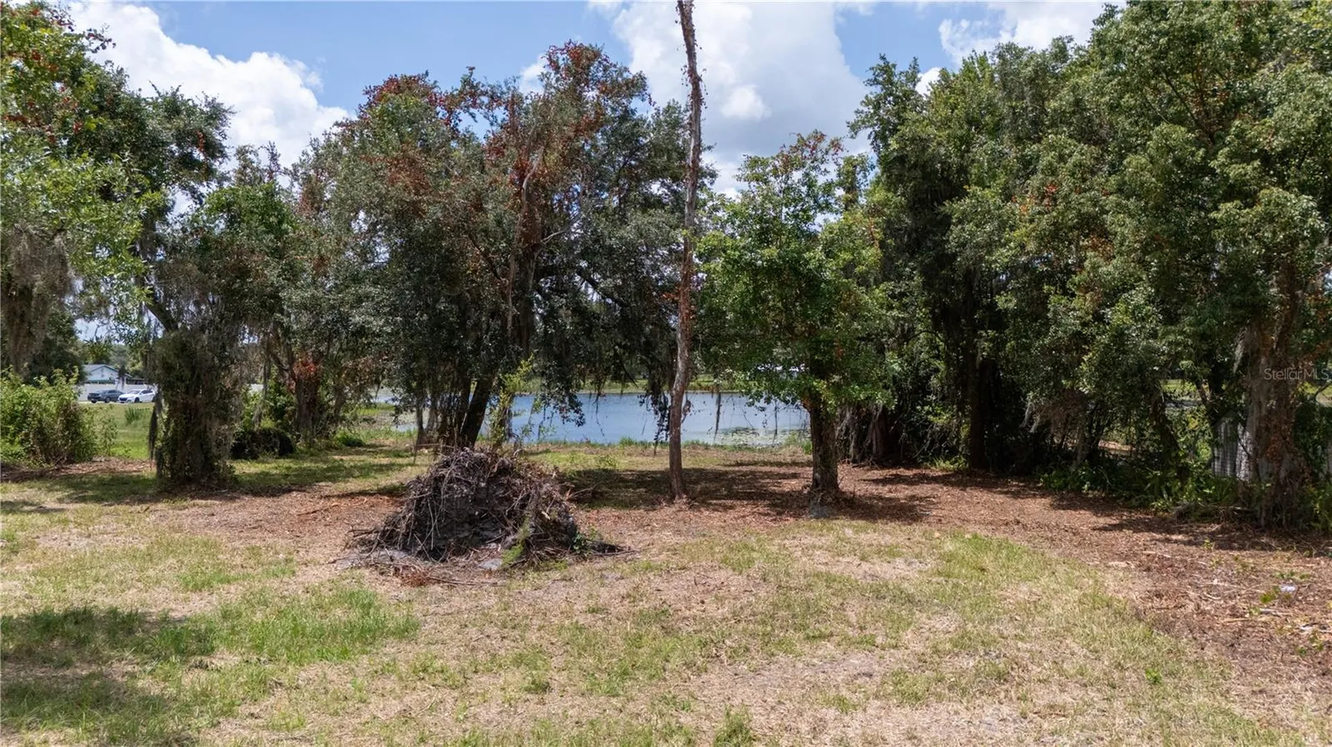 0 State Road 52 Land O Lakes FL 34638