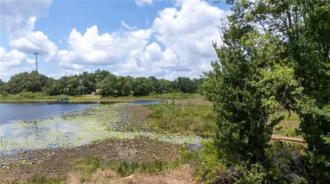 0 State Road 52 Land O Lakes FL 34638
